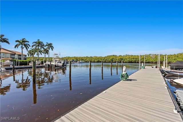 dock area with a water view