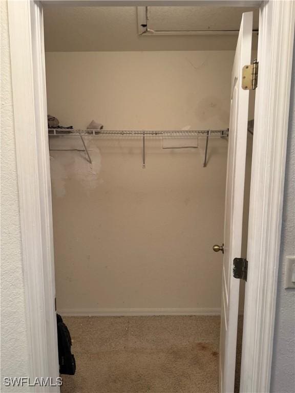 spacious closet featuring carpet flooring