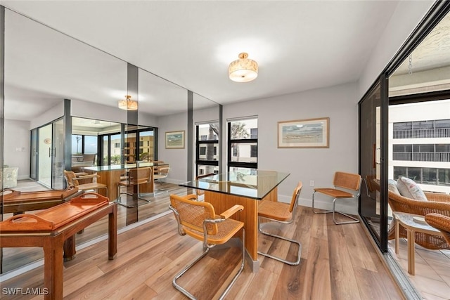 dining room featuring baseboards and light wood-style floors