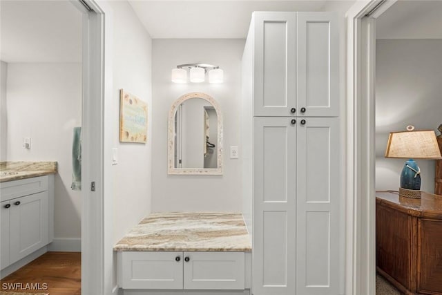 bathroom with wood finished floors and vanity