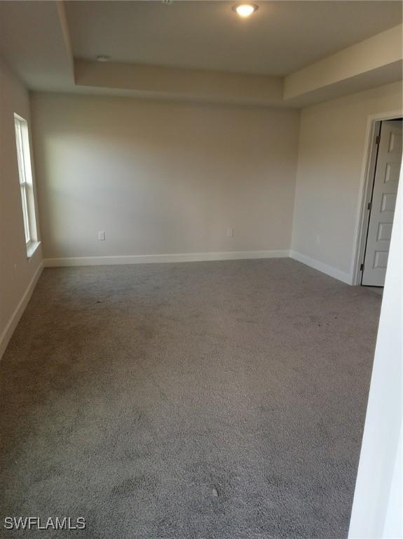 empty room with carpet floors, a raised ceiling, and baseboards