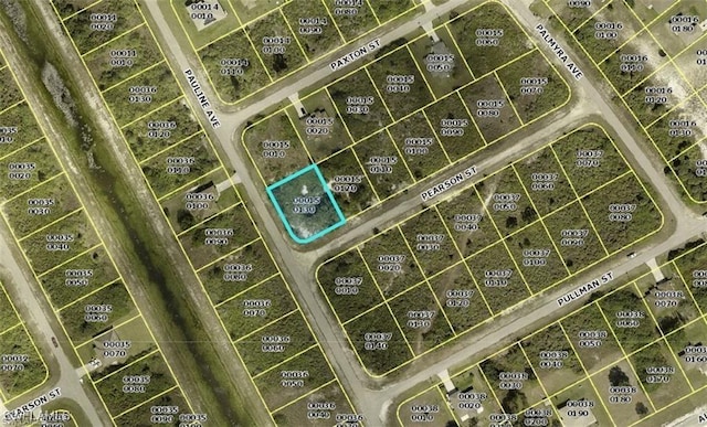 209 Pearson St, Lehigh Acres FL, 33974 land for sale