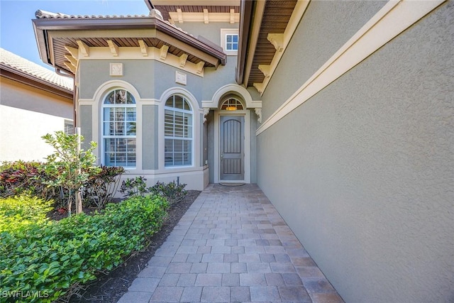 view of exterior entry with stucco siding