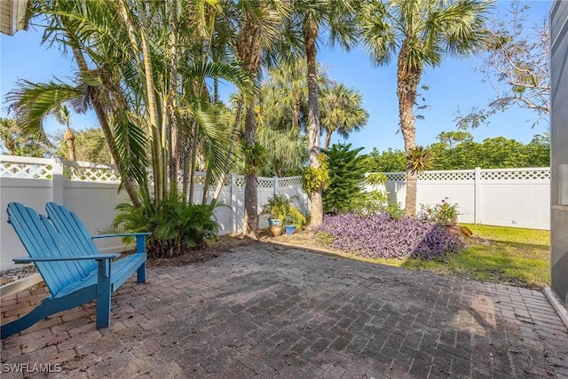 view of yard with a patio area and a fenced backyard