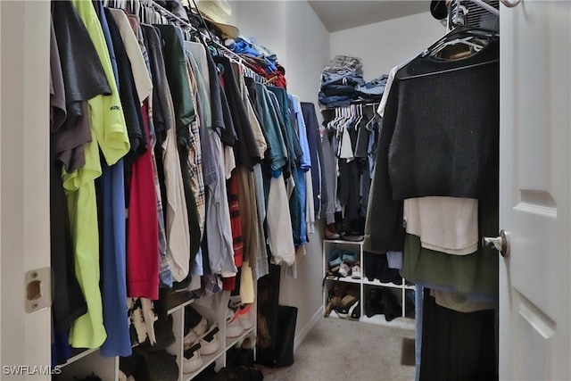 walk in closet featuring carpet