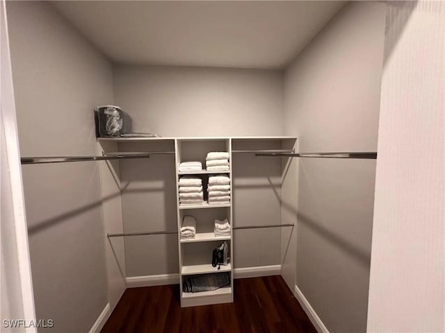 spacious closet featuring dark wood-style floors