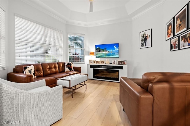 living room featuring ceiling fan, light wood-style flooring, a glass covered fireplace, a raised ceiling, and crown molding