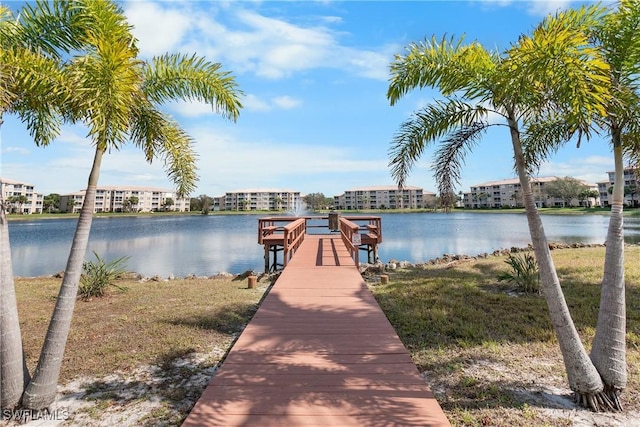 dock area with a water view