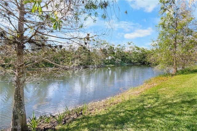 view of water feature