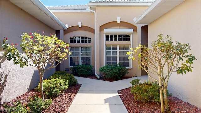 property entrance featuring stucco siding