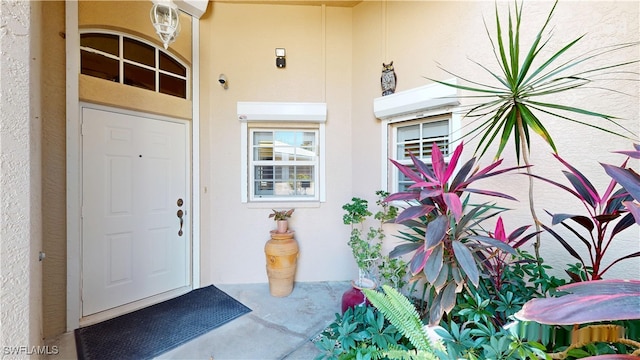 view of exterior entry with stucco siding