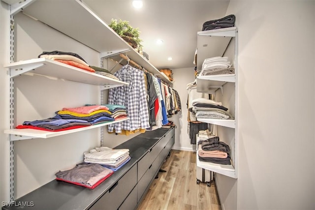 spacious closet featuring light wood finished floors