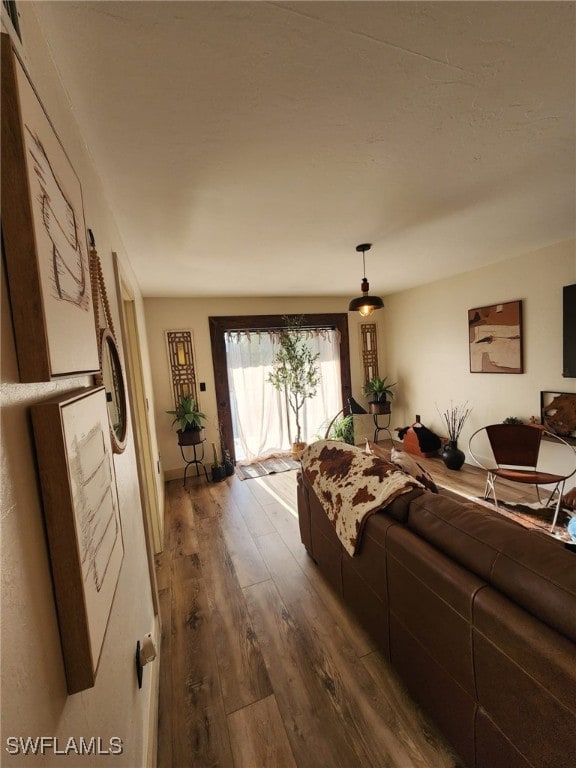 living area with dark wood finished floors