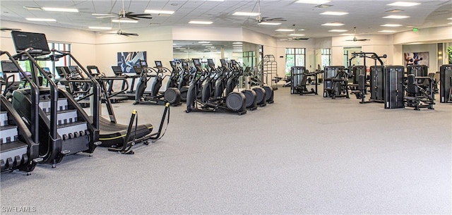 gym with a paneled ceiling, plenty of natural light, and ceiling fan