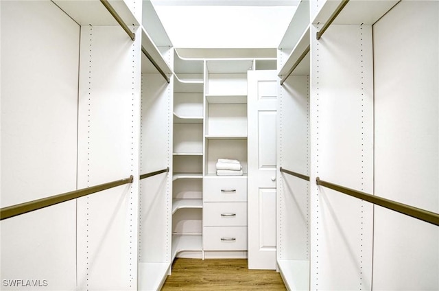 walk in closet featuring wood finished floors