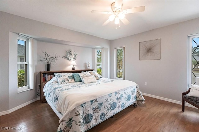 bedroom featuring dark wood-style flooring, multiple windows, ceiling fan, and baseboards