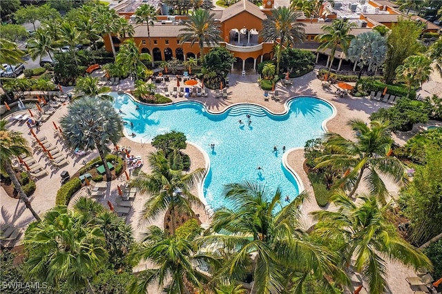 view of pool featuring a patio area