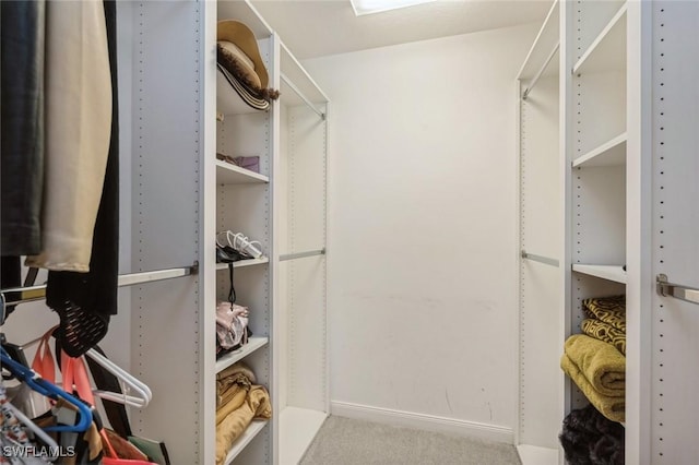 spacious closet with carpet flooring