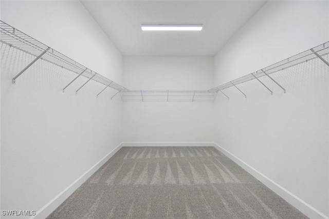 spacious closet with carpet flooring