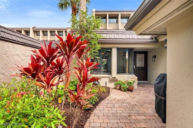 view of exterior entry with fence and stucco siding