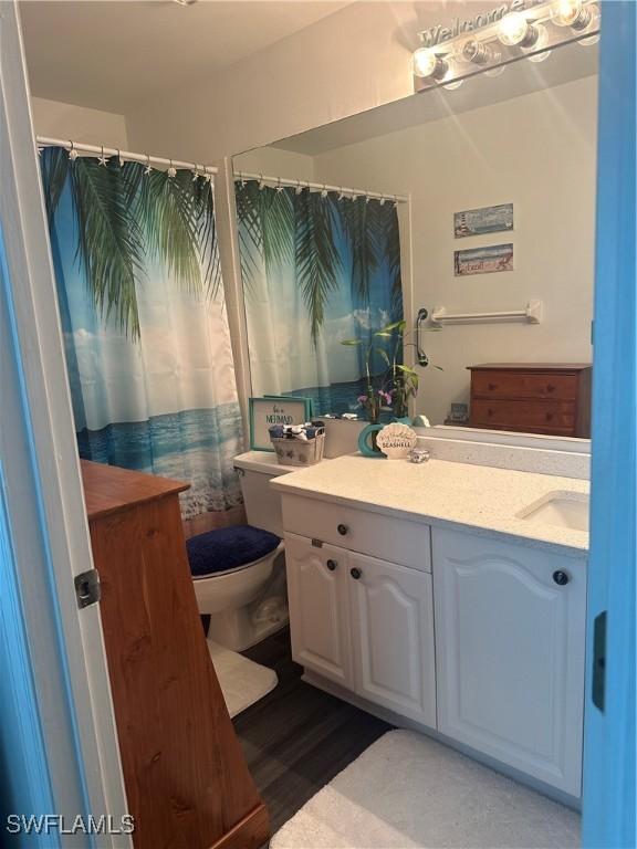 full bathroom with vanity and toilet