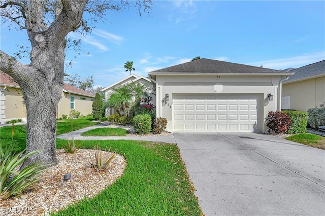 ranch-style home with a shingled roof, driveway, an attached garage, and stucco siding