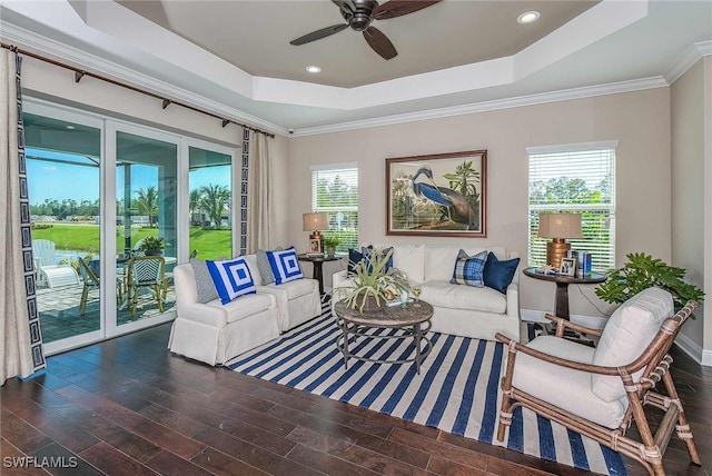 living room featuring crown molding, a raised ceiling, and dark wood finished floors
