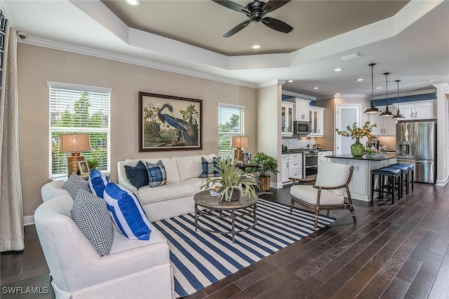 living room featuring dark wood-style flooring, a raised ceiling, and a wealth of natural light