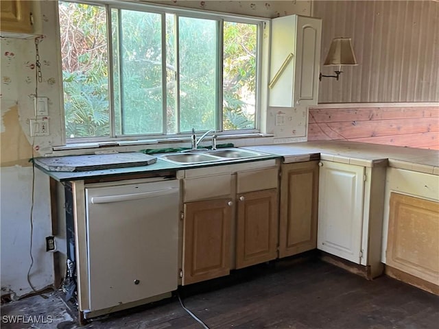 kitchen featuring white dishwasher, light countertops, and a sink