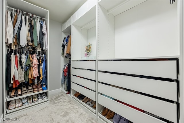 spacious closet featuring carpet