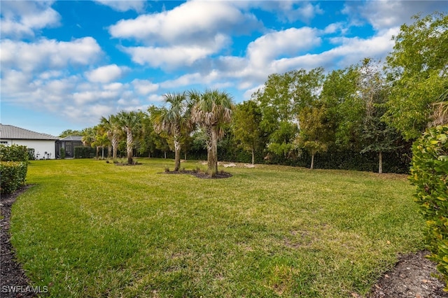 view of yard