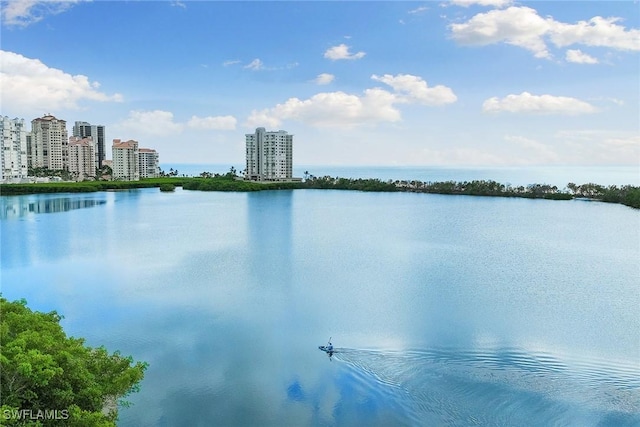 view of water feature with a city view