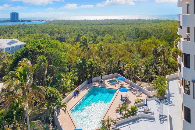 bird's eye view with a water view and a wooded view