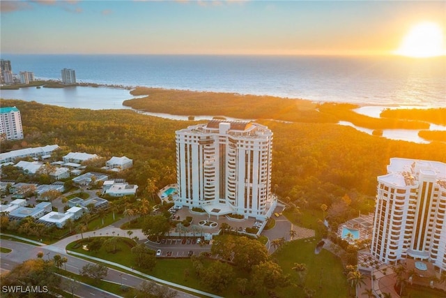 aerial view at dusk with a water view and a city view