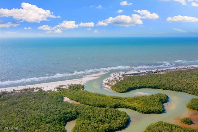 aerial view with a water view and a beach view