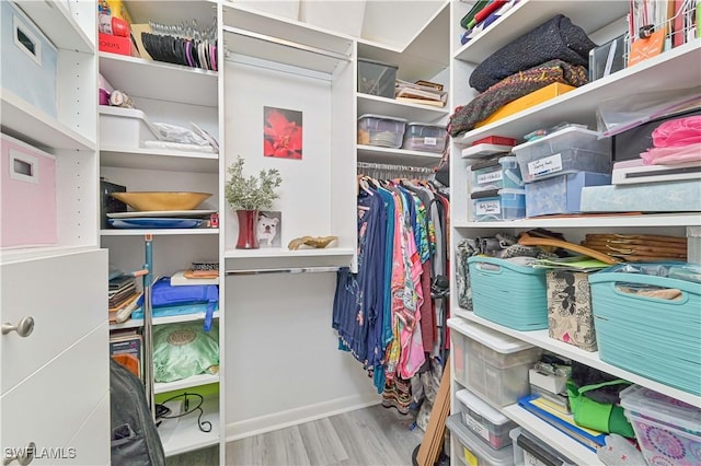 walk in closet with wood finished floors