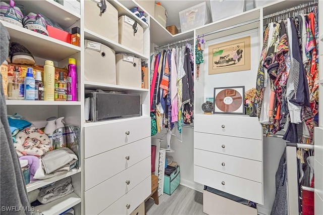 spacious closet featuring light wood-style flooring