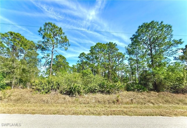 1104 Congress Ave, Lehigh Acres FL, 33972 land for sale