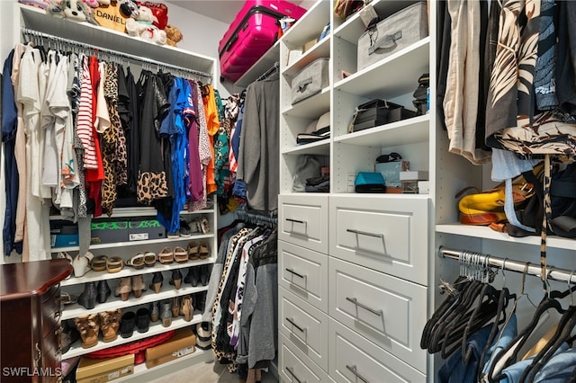 view of walk in closet