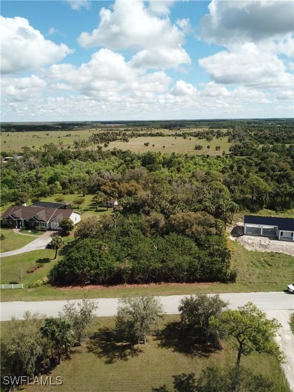 18430 River Estates Ln, Alva FL, 33920 land for sale