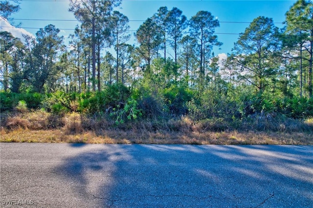 1221 Abbott Ave, Lehigh Acres FL, 33972 land for sale