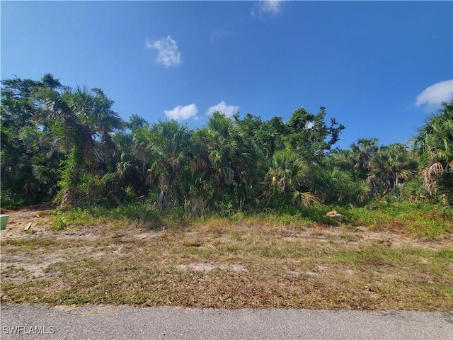 16257 Chicopee Ave, Port Charlotte FL, 33954 land for sale