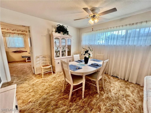 dining space with carpet, ceiling fan, and a textured ceiling