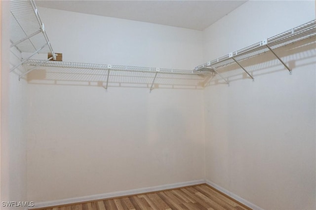 walk in closet with light wood-type flooring