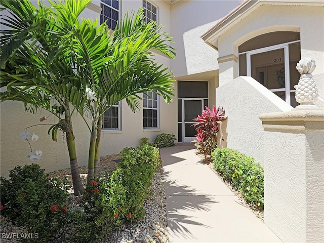 doorway to property featuring a patio area and stucco siding