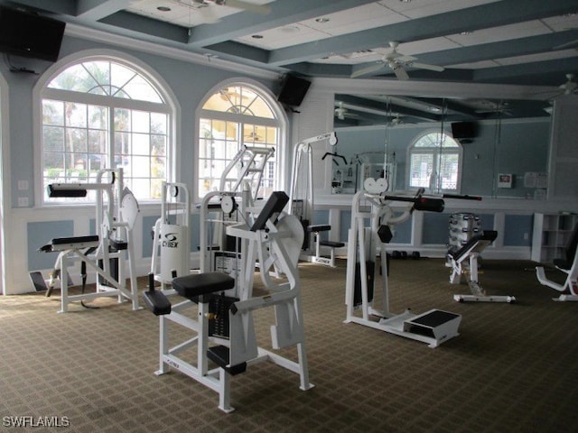 exercise room featuring ceiling fan and carpet floors