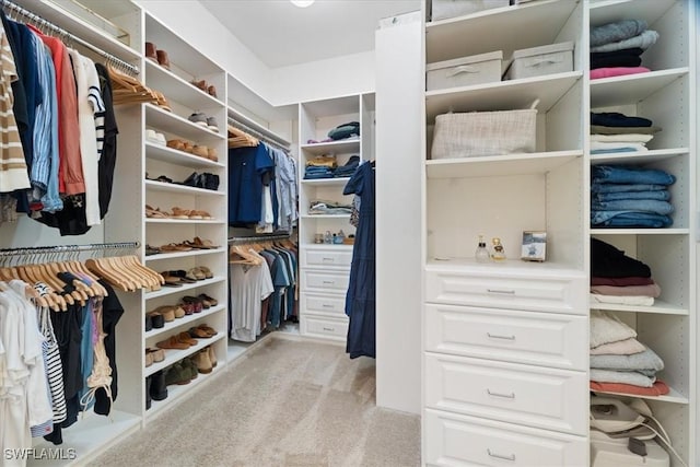 walk in closet with light colored carpet