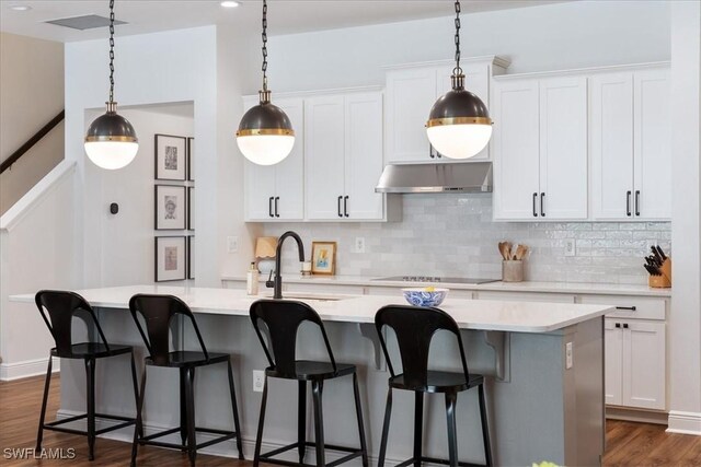 kitchen featuring under cabinet range hood, a kitchen island with sink, and white cabinets