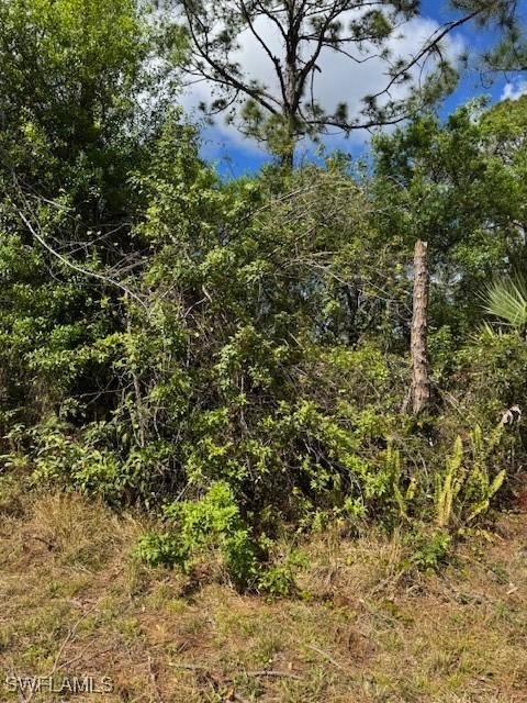 Lutz Rd, North Port FL, 34286 land for sale