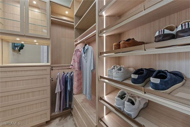 view of walk in closet